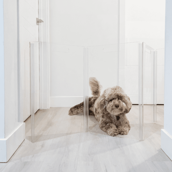 Hiddin Low Clear Acrylic Zig Zag Pet Gate – Freestanding, 24 in High