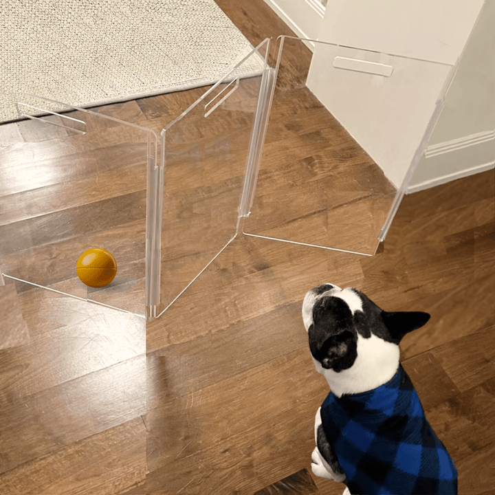 Hiddin Low Clear Acrylic Zig Zag Pet Gate – Freestanding, 24 in High