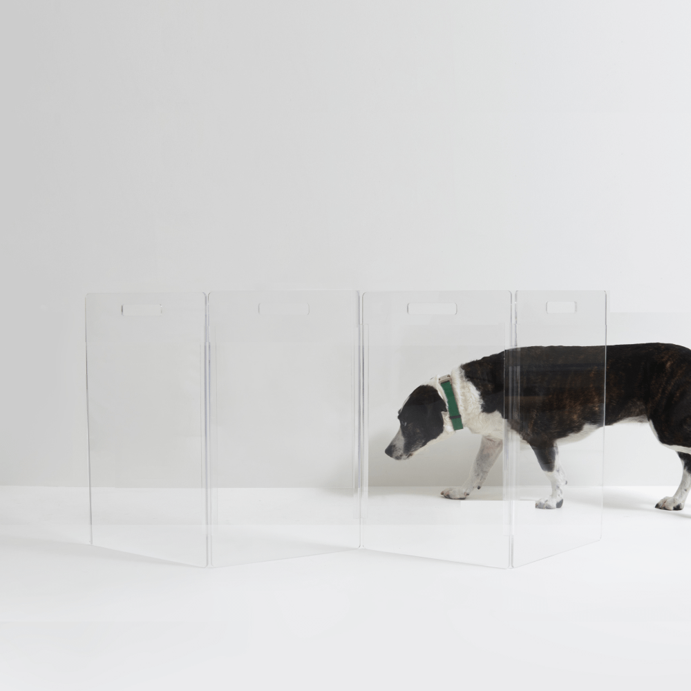 Hiddin Low Clear Acrylic Zig Zag Pet Gate – Freestanding, 24 in High