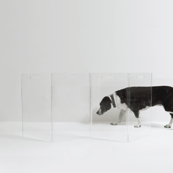 Hiddin Low Clear Acrylic Zig Zag Pet Gate – Freestanding, 24 in High