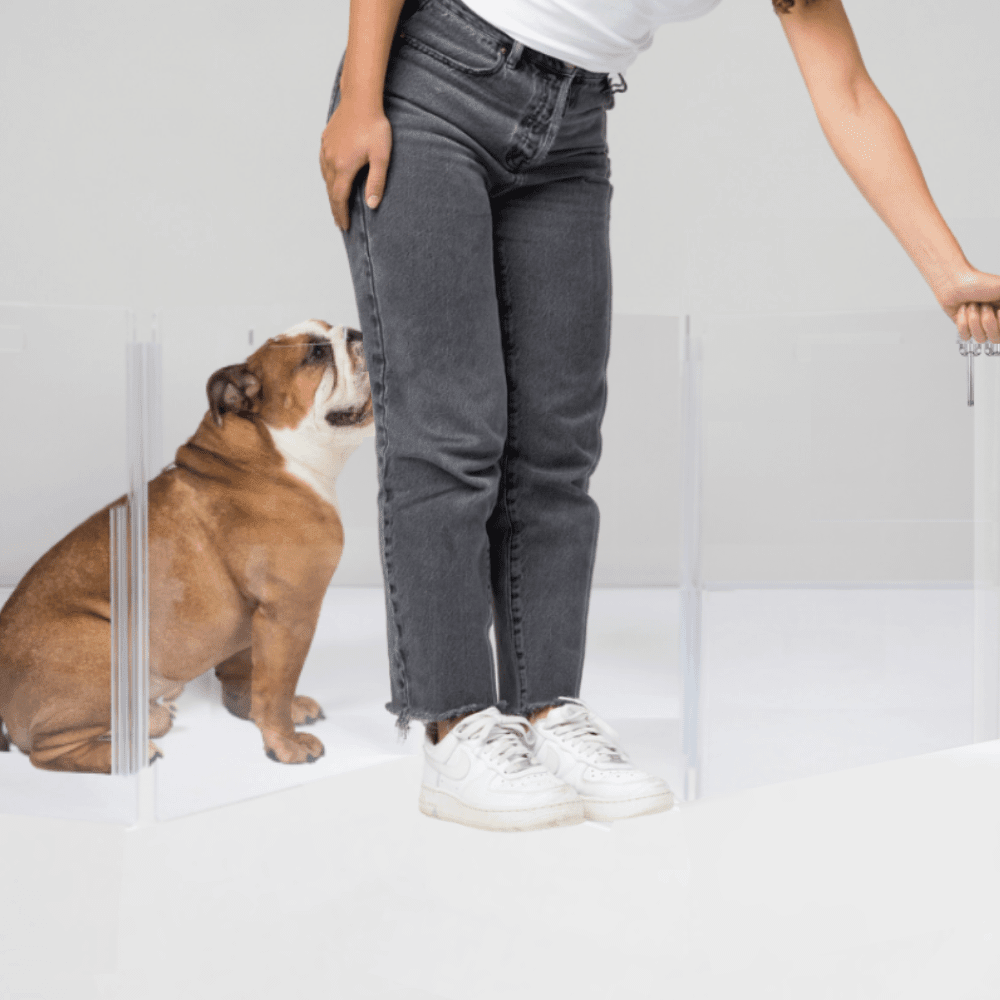Hiddin Clear Acrylic Wall-Mounted Zig Zag Pet Gate – 24 in High
