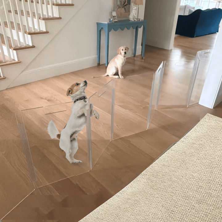 Hiddin Low Clear Acrylic Zig Zag Pet Gate – Freestanding, 24 in High