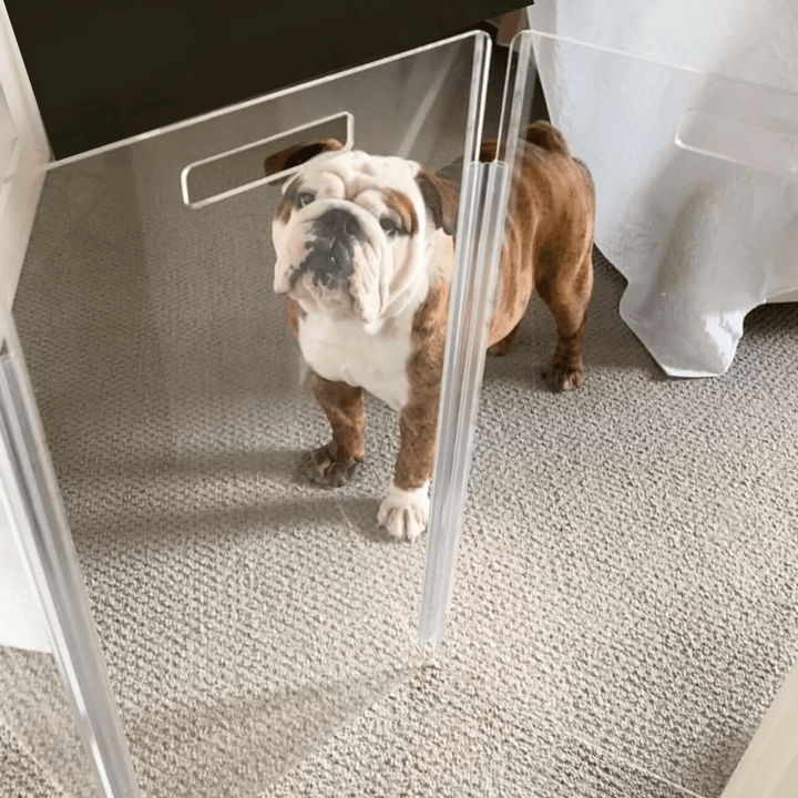 Hiddin Low Clear Acrylic Zig Zag Pet Gate – Freestanding, 24 in High