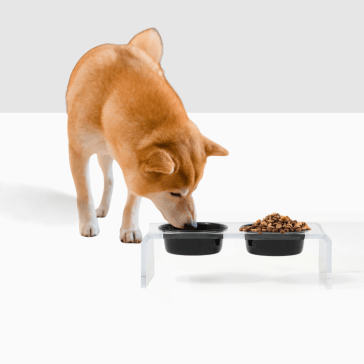 Hiddin Clear Acrylic Double Feeder with Black or White Bowls – 3 in High