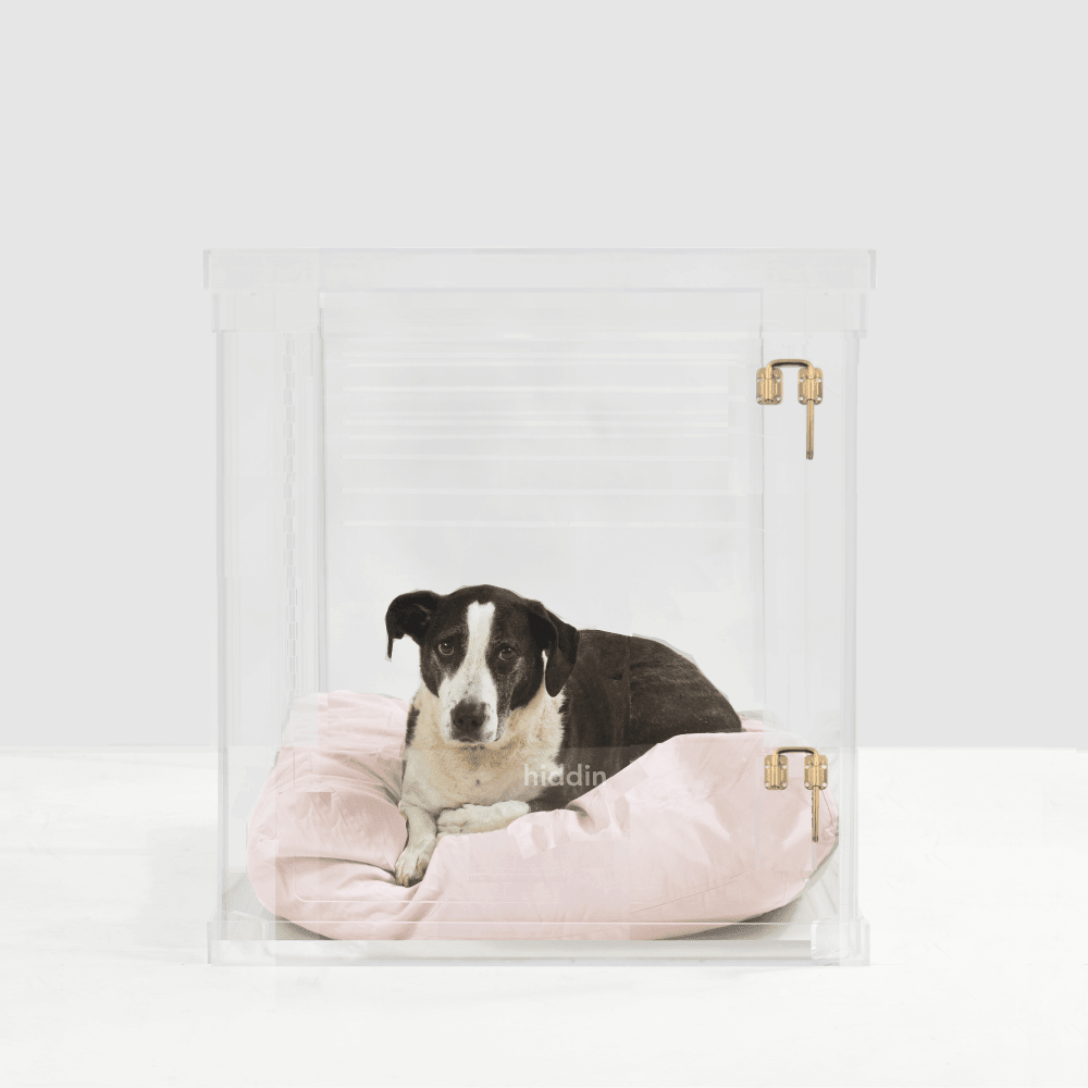 Hiddin Clear Acrylic Dog Crate – Medium, Gold Latch