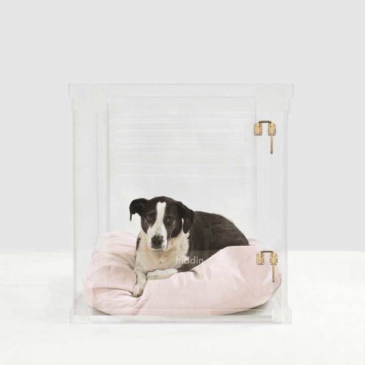 Hiddin Clear Acrylic Dog Crate – Medium, Gold Latch