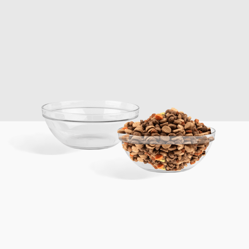 Hiddin Clear Acrylic Double Feeder with Glass Bowls – 3 in High