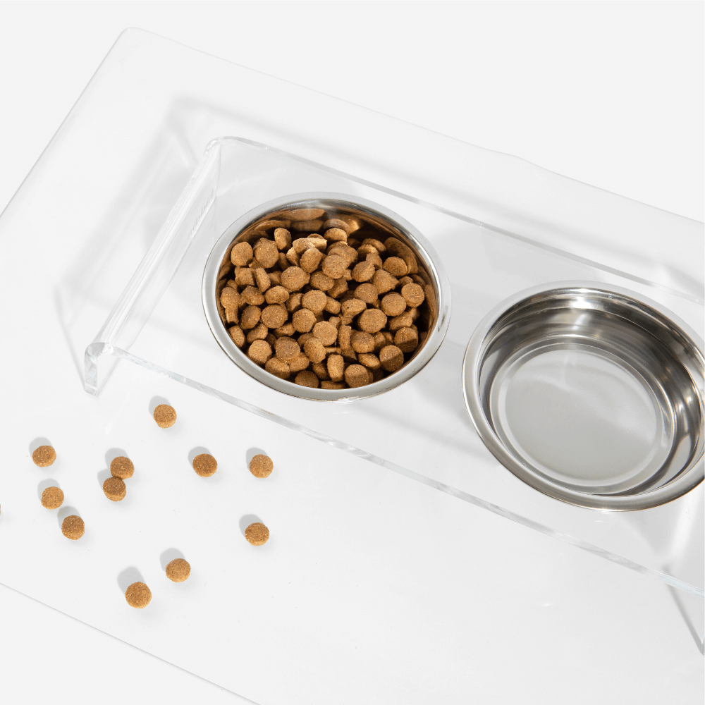 Hiddin Clear Acrylic Double Feeder with Silver Bowls – 3 in High