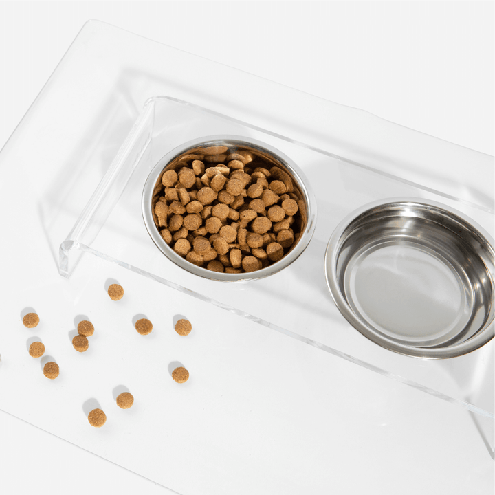 Hiddin Clear Acrylic Double Feeder with Silver Bowls – 3 in High