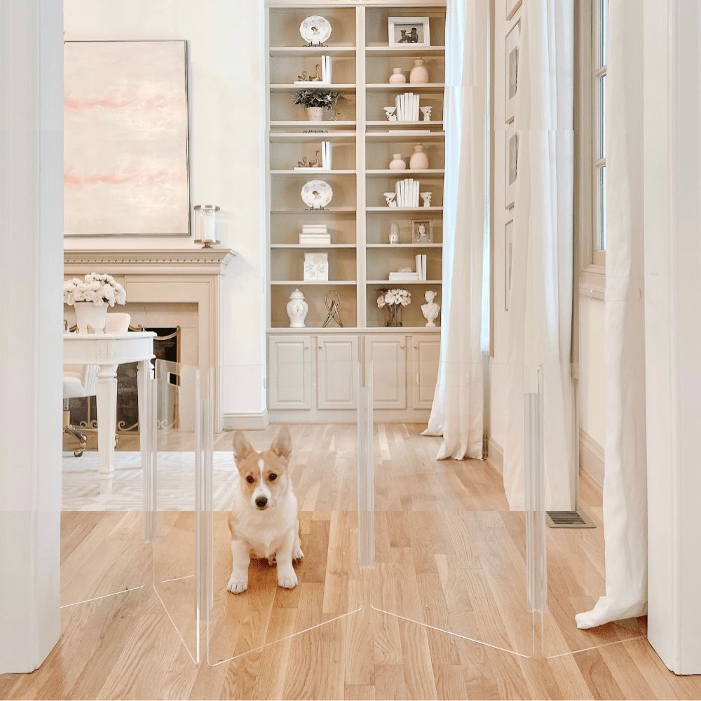 Hiddin Low Clear Acrylic Zig Zag Pet Gate – Freestanding, 24 in High