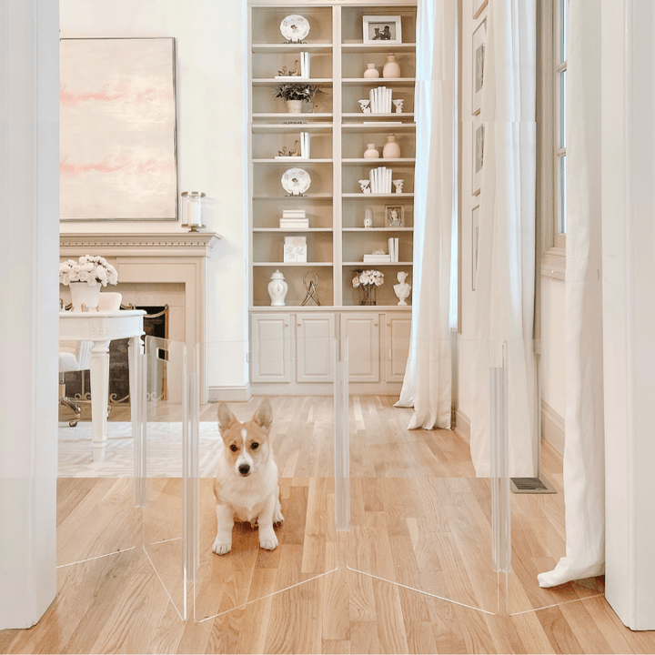 Hiddin Low Clear Acrylic Zig Zag Pet Gate – Freestanding, 24 in High