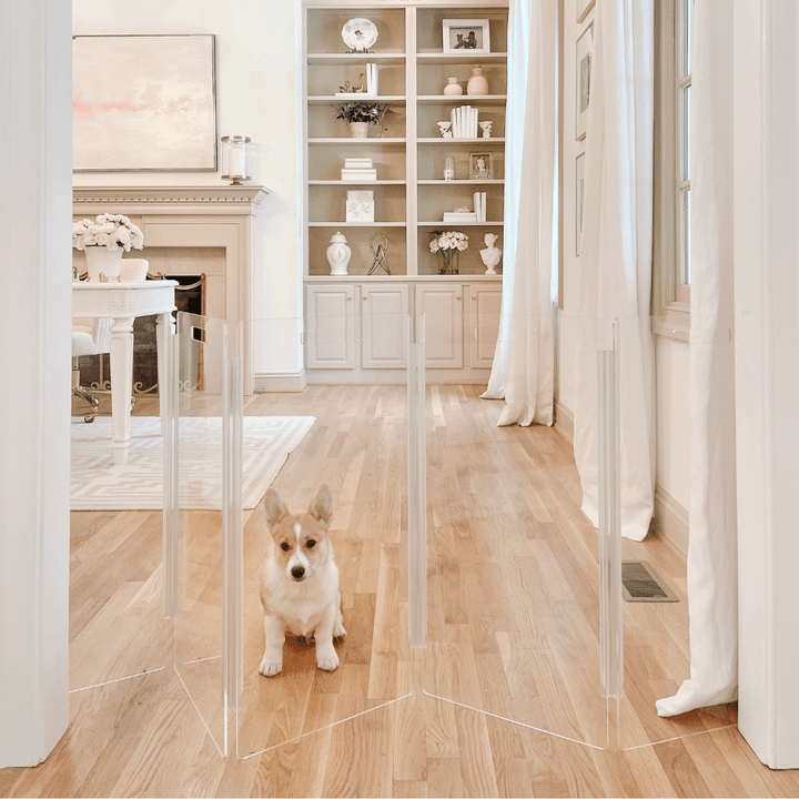 Hiddin Tall Clear Acrylic Zig Zag Pet Gate – Freestanding