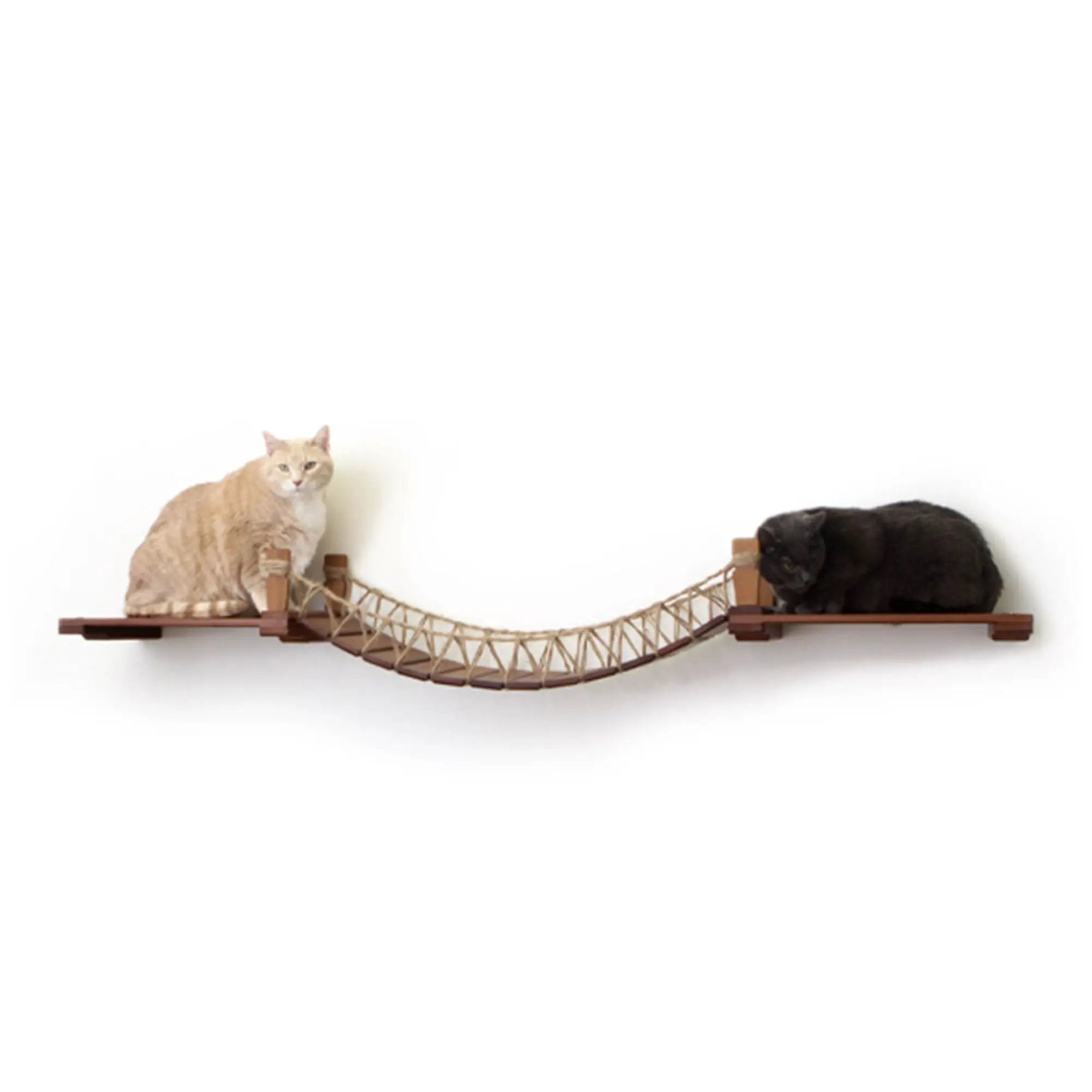 Cat Wall Bridge and Shelf Set by Catastrophic Creations; wooden shelves with woven hammock, two cats resting.