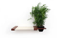 Load image into Gallery viewer, Cat Hammock Wall with Planter by Catastrophic Creations; wooden shelf, beige fabric hammock, lush green plant.
