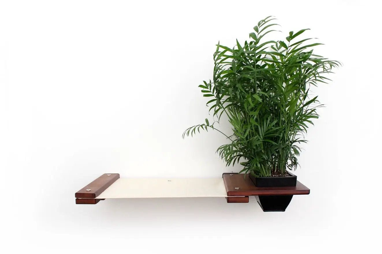 Cat Hammock Wall with Planter by Catastrophic Creations; wooden shelf, beige fabric hammock, lush green plant.