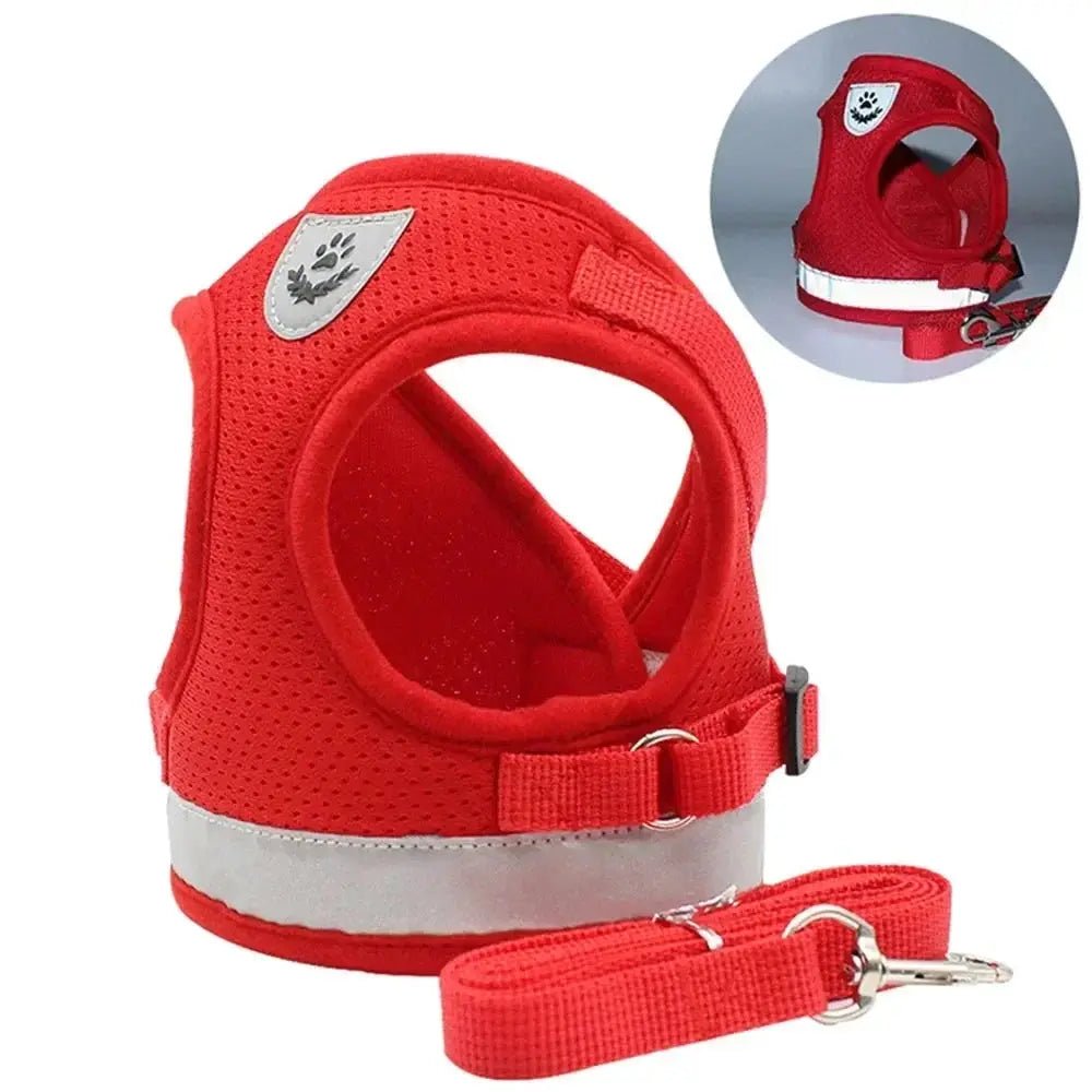 Reflective Cat Harness Leash Breathable Mesh Outdoor Safety Pack by WTN Essentials