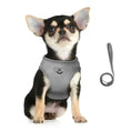 Load image into Gallery viewer, Reflective Cat Harness Leash Breathable Mesh Outdoor Safety Pack by WTN Essentials
