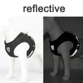 Load image into Gallery viewer, Reflective Cat Harness Leash Breathable Mesh Outdoor Safety Pack by WTN Essentials
