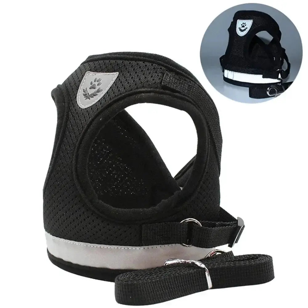 Reflective Cat Harness Leash Breathable Mesh Outdoor Safety Pack by WTN Essentials