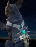 Bild in Galerie-Betrachter laden, SF1 Dog Clip On Safety Light High Visibility Waterproof Collar by kiloninerpets
