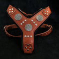 Carica l'immagine nel visualizzatore della galleria, The "Maximus" silver harness - Pet Collars & Harnesses from Bestia Dog Gear
