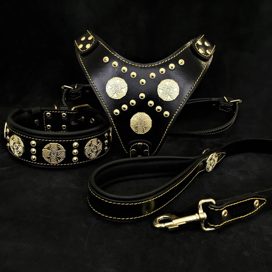 Bestia Maximus black and gold leather dog harness, collar and leash set