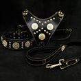 Charger l'image dans la visionneuse de la galerie, "Maximus Black" BIG dog SET- Harness - collar - lead. Brass rivets - Pet Collars & Harnesses from Bestia Dog Gear
