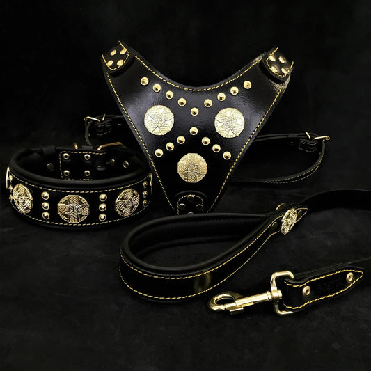 "Maximus Black" BIG dog SET- Harness - collar - lead. Brass rivets - Pet Collars & Harnesses from Bestia Dog Gear