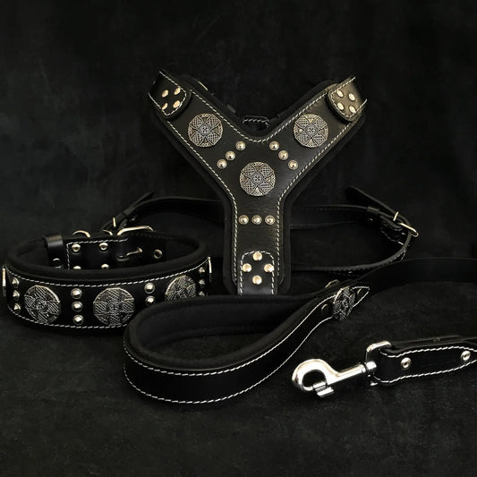"Maximus Silver" BIG dog SET- Harness - collar - lead. Black - Pet Collars & Harnesses from Bestia Dog Gear