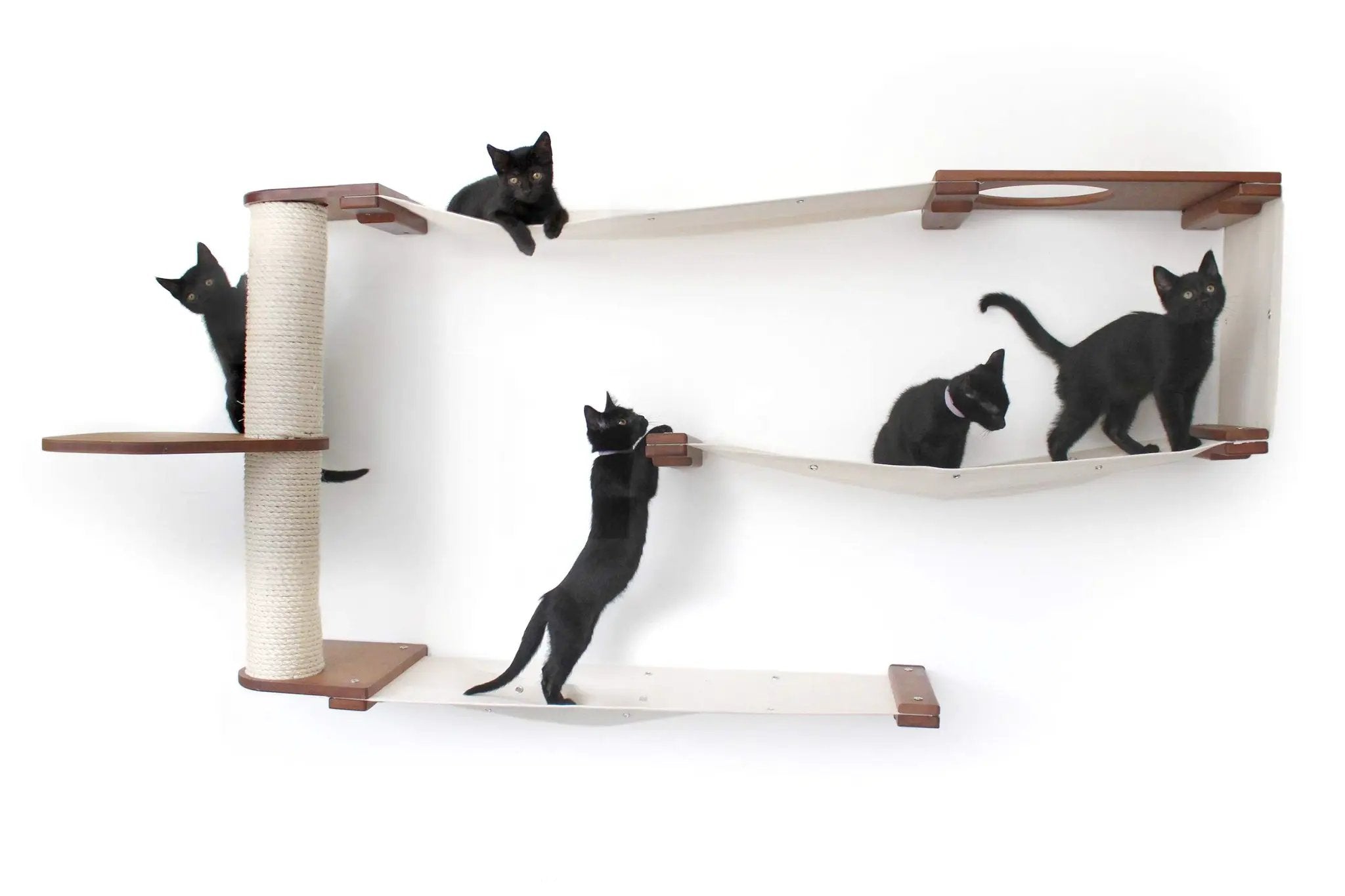 Cat Maze Wall 3-Tier Cat Tree condo by Catastrophic Creations; wooden shelves with sisal post (5 cats)