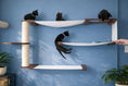 Load image into Gallery viewer, Cat Maze Wall 3-Tier Cat Tree by Catastrophic Creations, white fabric hammocks, blue wall, 4 black cats.
