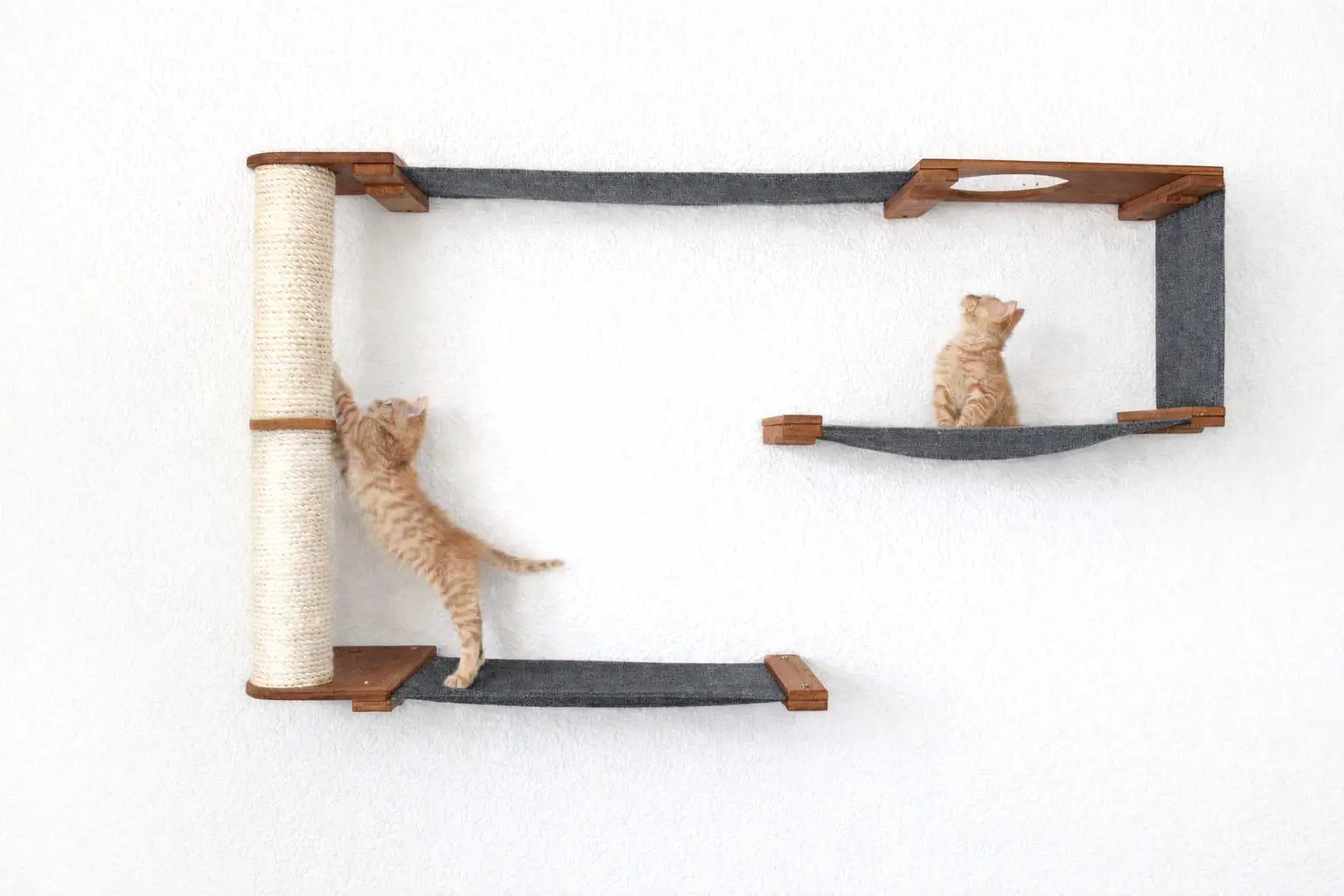 Cat Maze Wall - 3 Tier Cat Tree; Catastrophic Creations wall-mounted condo with wood platforms, gray fabric, 2 kittens