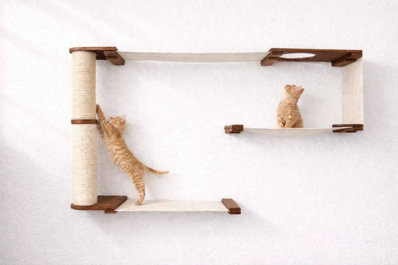 Cat Maze Wall 3-Tier Cat Tree condo in beige wood with a sisal-wrapped column and two orange kittens.