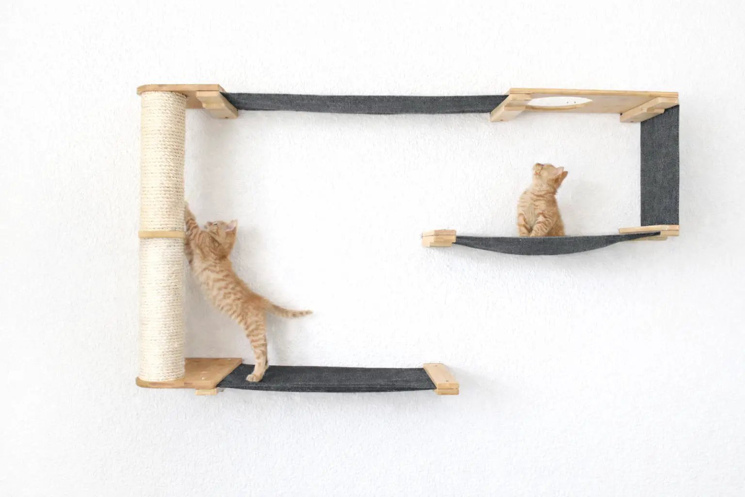 Cat Maze Wall - 3 Tier Cat Tree by Catastrophic Creations; beige sisal post, dark gray ramps, two kittens