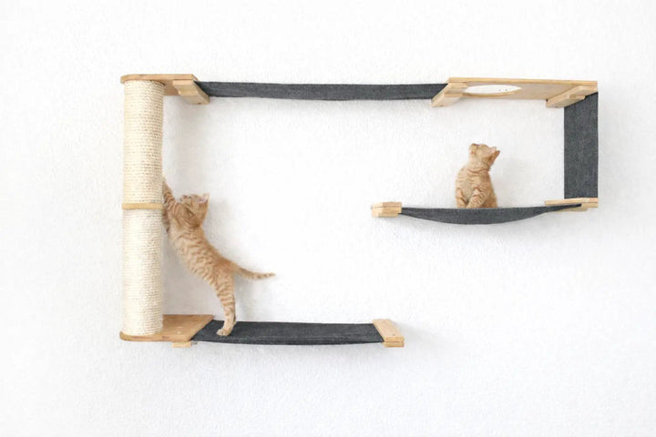 Cat Maze Wall - 3 Tier Cat Tree by Catastrophic Creations; beige sisal post, dark gray ramps, two kittens