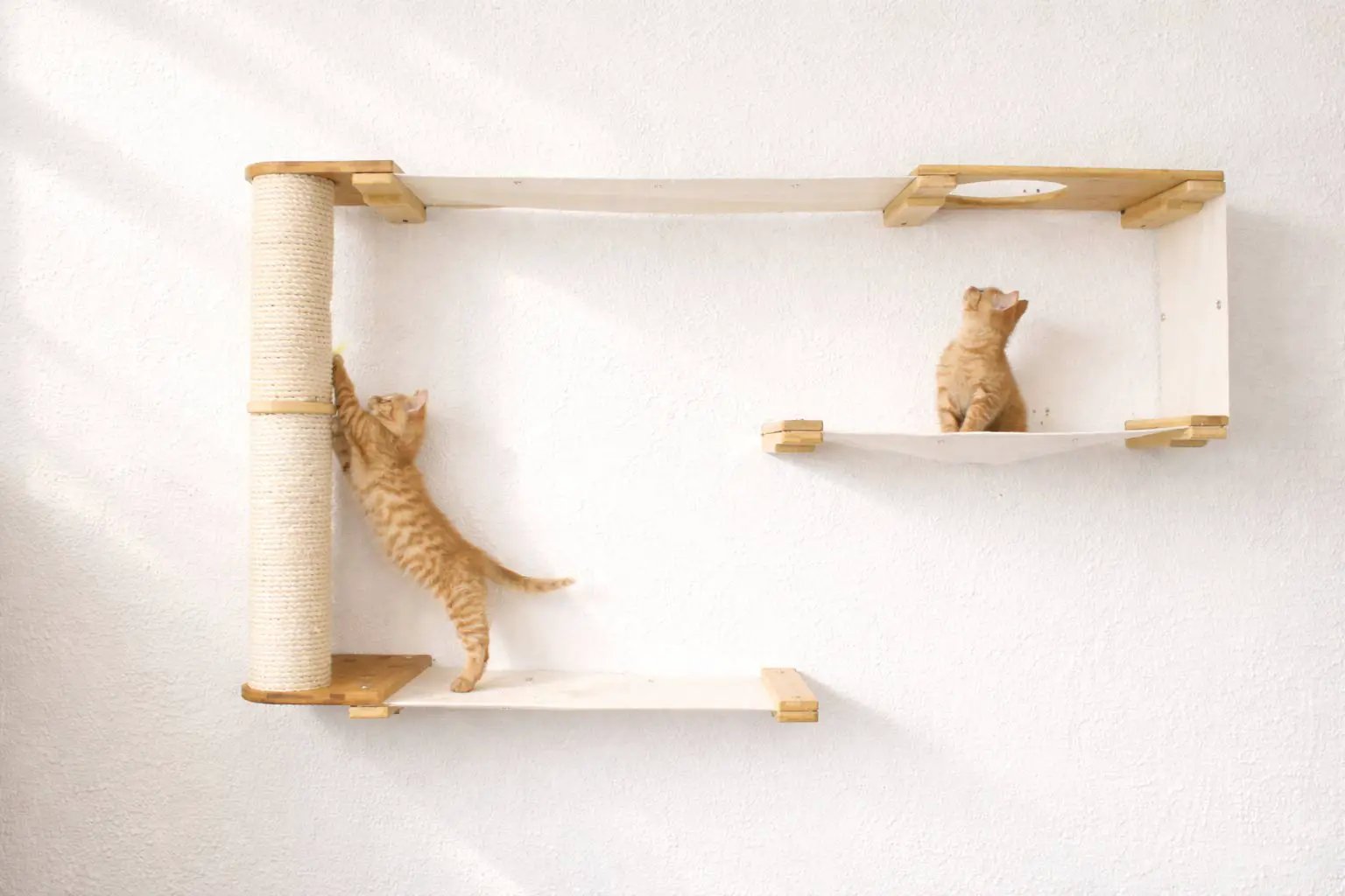 Cat Maze Wall - 3 Tier Cat Tree by Catastrophic Creations; beige wood platforms with sisal column, two orange cats.