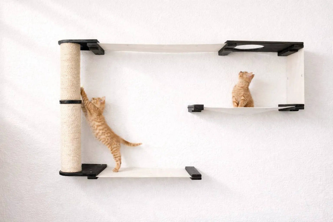 Cat Maze Wall - 3 Tier Cat Tree by Catastrophic Creations; white platforms, black brackets, sisal post, 2 orange kittens