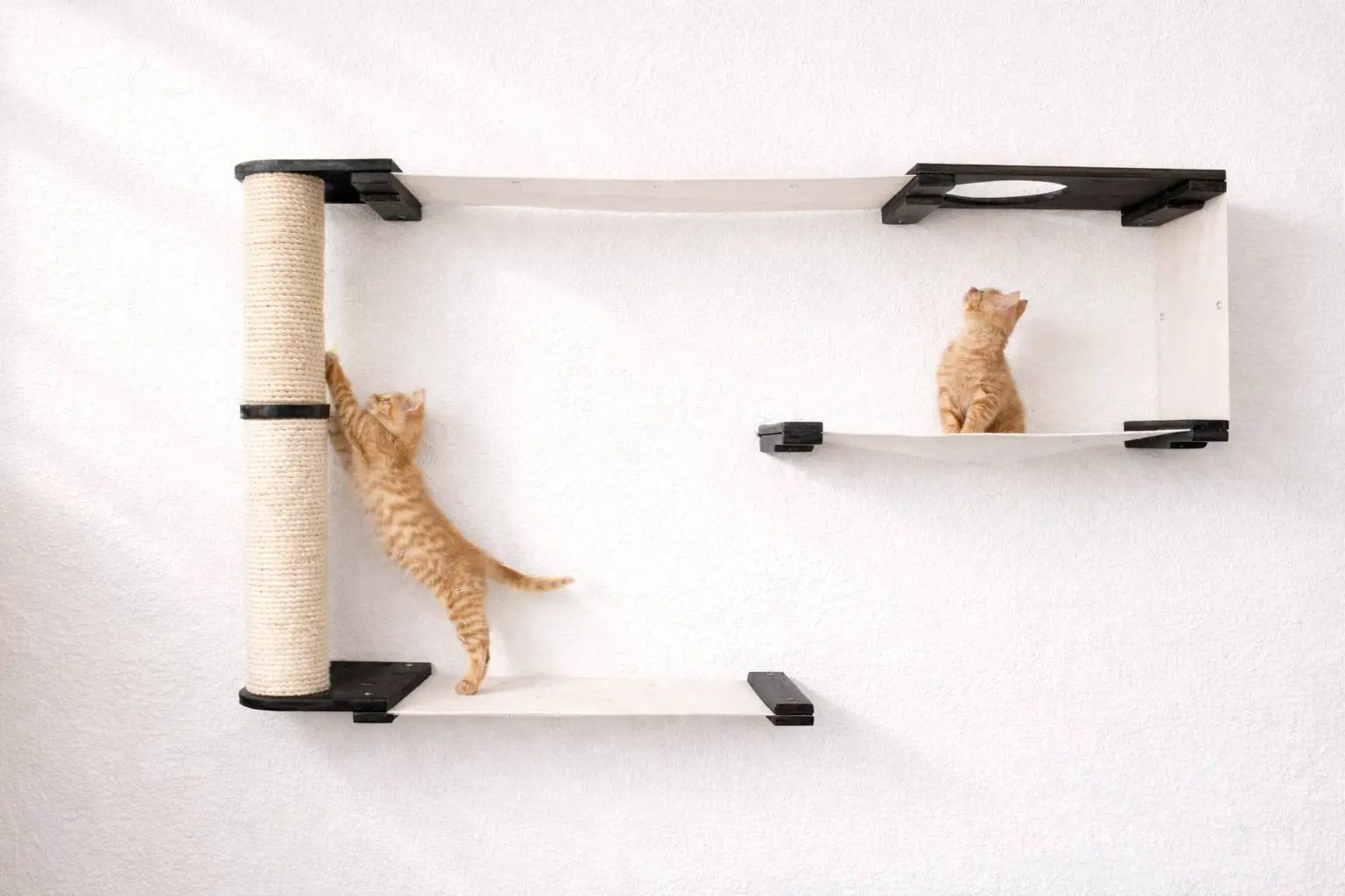 Cat Maze Wall - 3 Tier Cat Tree by Catastrophic Creations; white platforms, black brackets, sisal post, 2 orange kittens