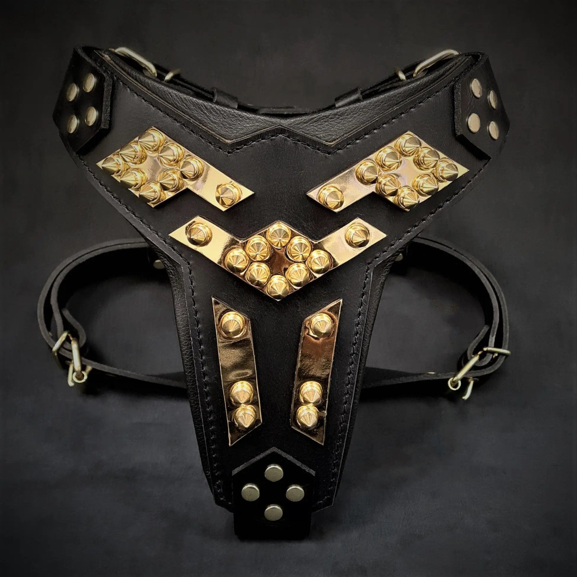 The ''Midas'' leather dog harness gold - Pet Collars & Harnesses from Bestia Dog Gear