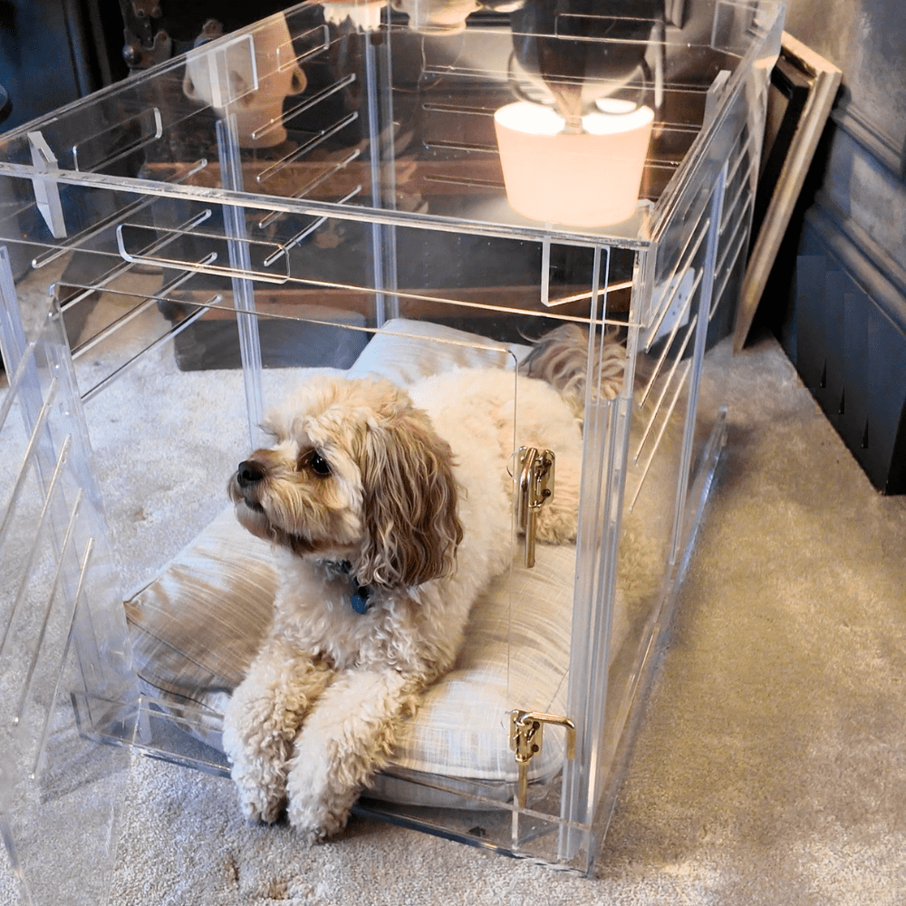 Hiddin Clear Acrylic Dog Crate – Medium, Gold Latch