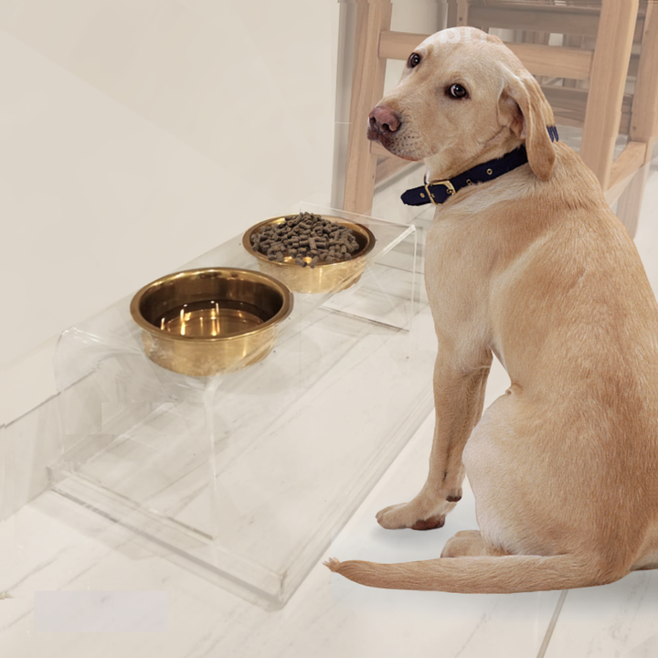 Hiddin Clear Acrylic Double Feeder with Gold Bowls – 7 in High