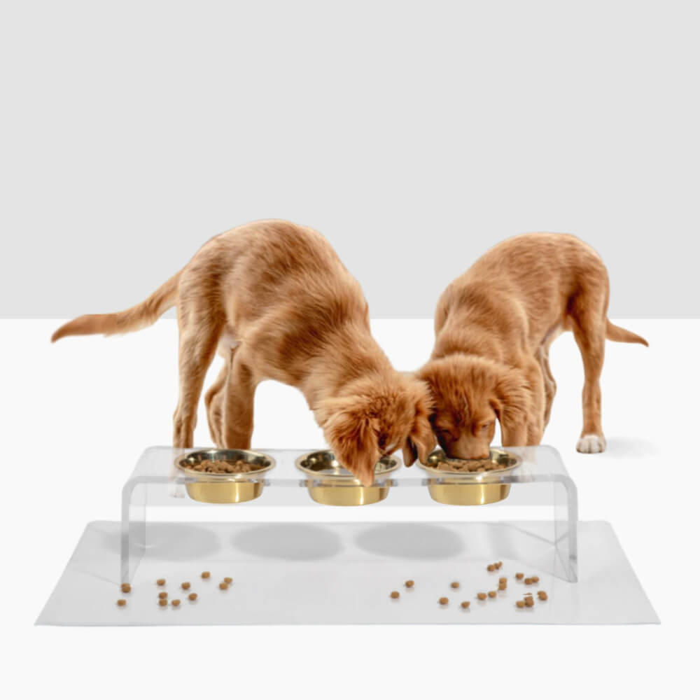 Hiddin Clear Acrylic Triple Feeder with Gold Bowls – 7 in High