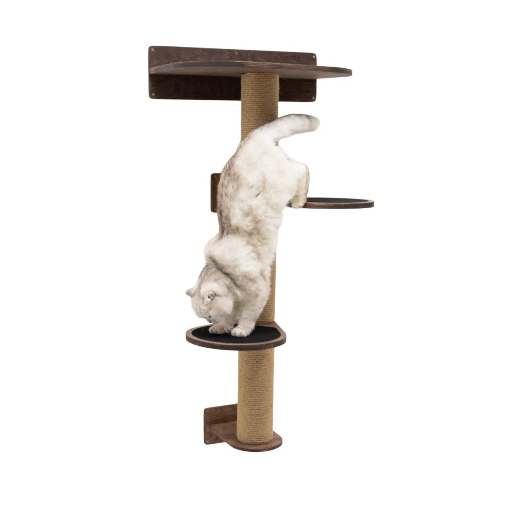 Enjoy The Wood Medium Cat Tree Modern Dark Walnut Felt Upholstered by Enjoy The Wood