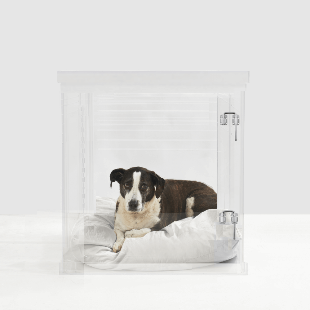 Hiddin Clear Acrylic Dog Crate – Medium, Silver Latch
