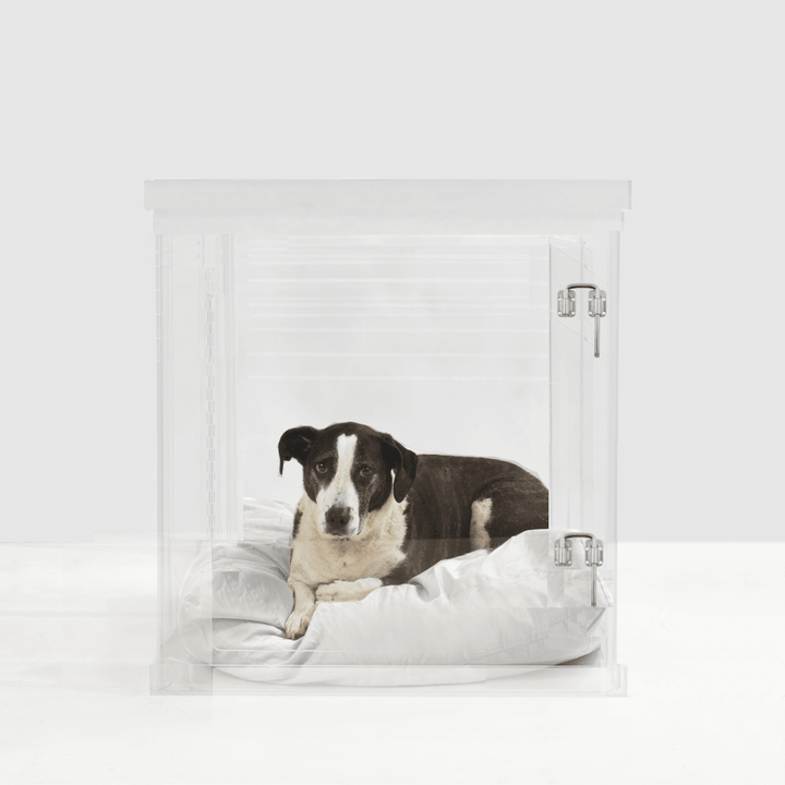 Hiddin Clear Acrylic Dog Crate – Medium, Silver Latch