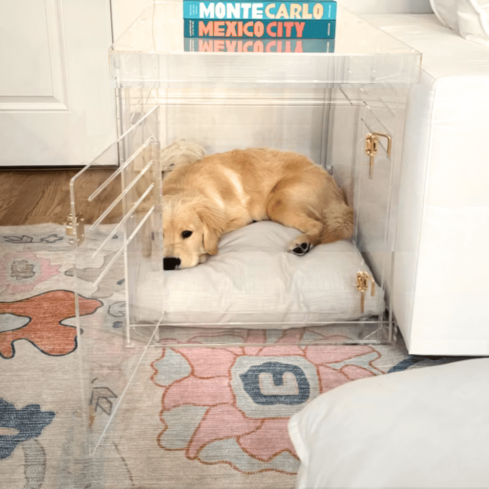 Hiddin Clear Acrylic Dog Crate – Medium, Gold Latch