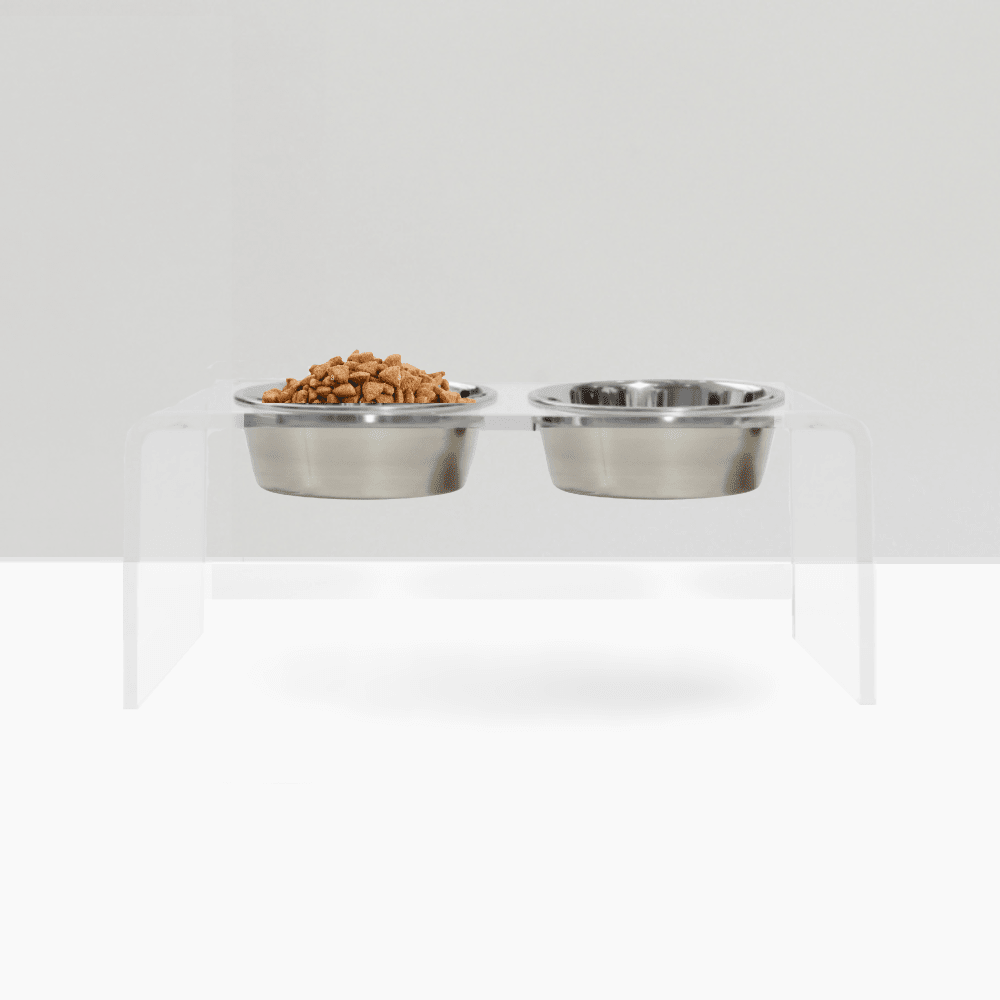 Hiddin Clear Acrylic Double Feeder with Silver Bowls – 7 in High
