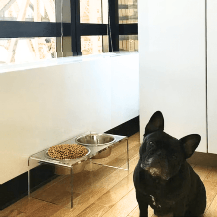 Hiddin Clear Acrylic Double Feeder with Silver Bowls – 7 in High