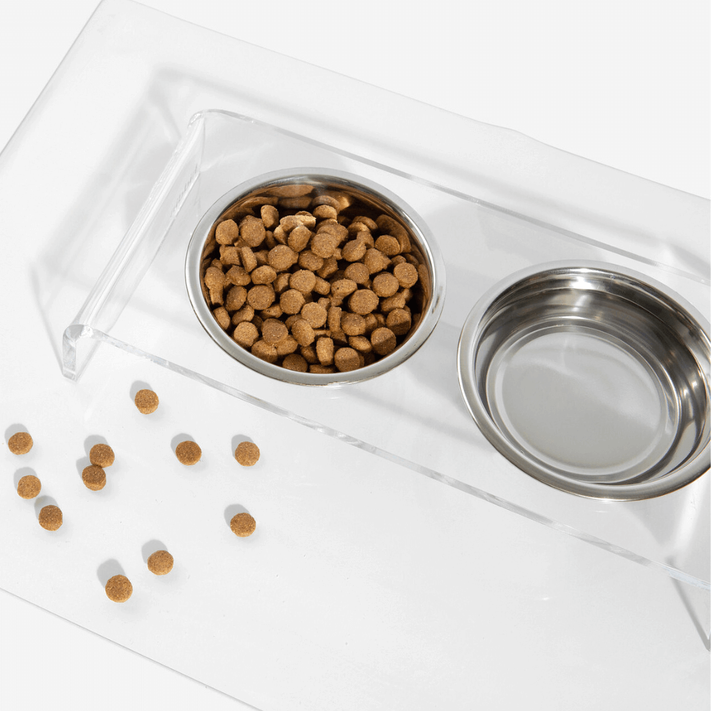 Hiddin Clear Acrylic Double Feeder with Silver Bowls – 7 in High