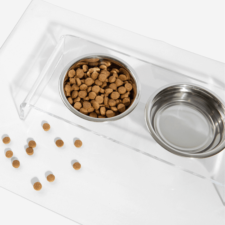 Hiddin Clear Acrylic Double Feeder with Silver Bowls – 7 in High